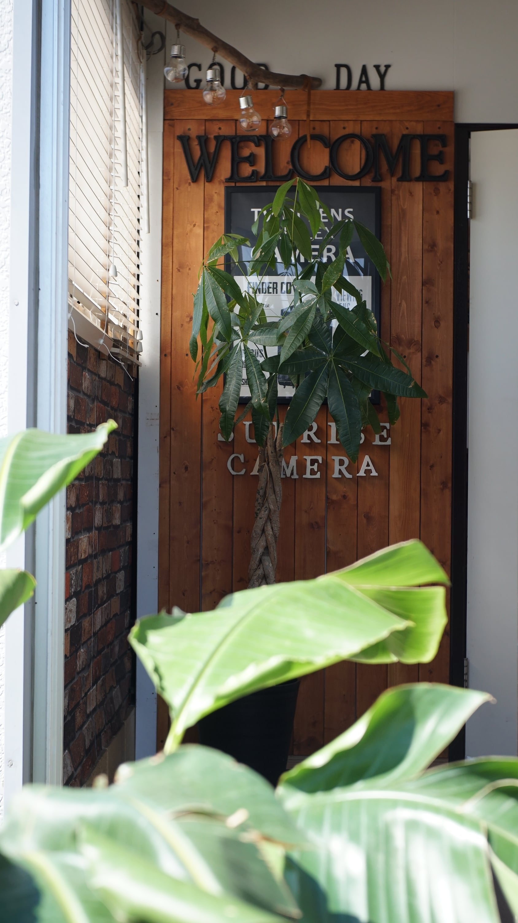 作例☆動画あり】Nikon W Nikkor C 35mm F3.5 Nikon Sマウント 作例☆動画あり】Nikon W Nikkor C 35mm F3.5 Nikon Sマウント