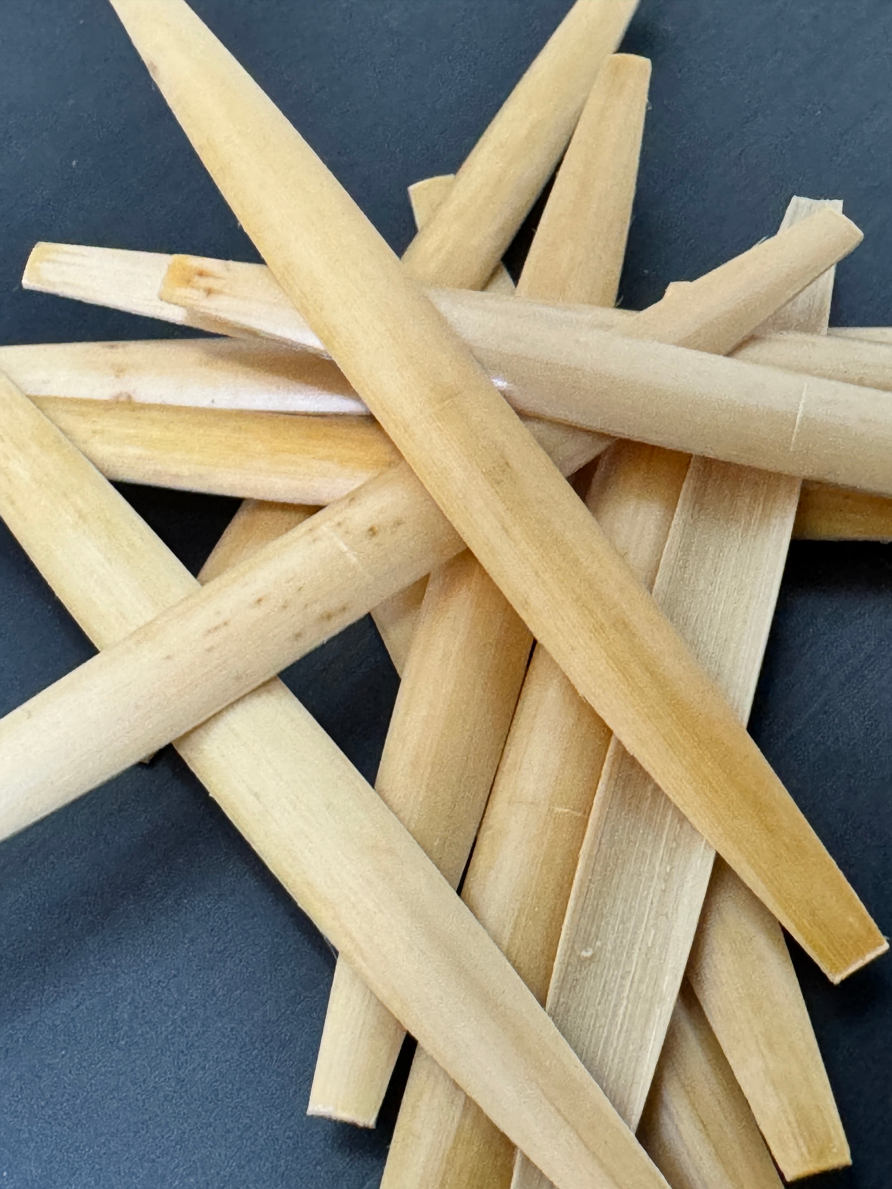 オーボエリード製作練習用、舟型ケーン10枚セット | 主に絹糸