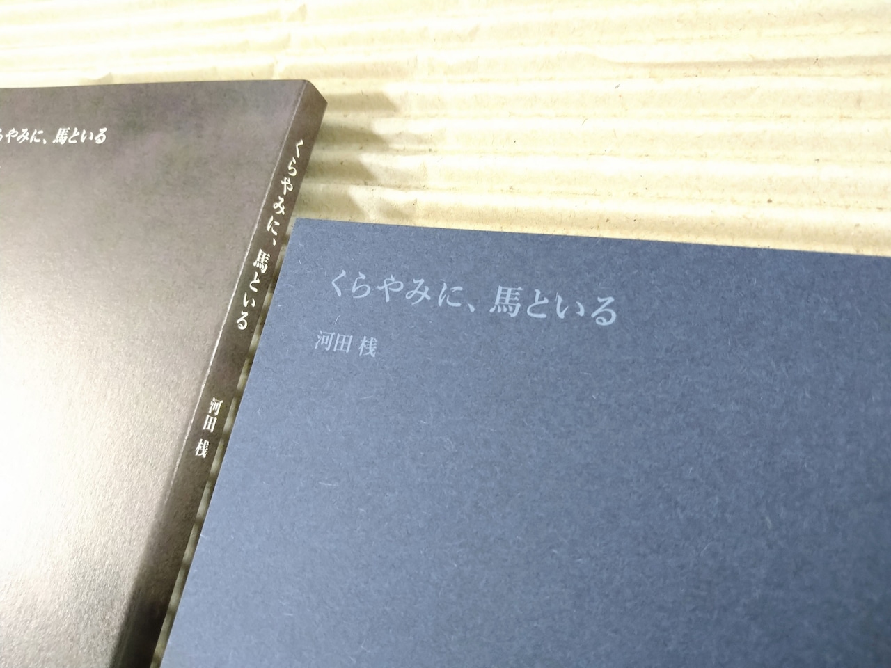 くらやみに、馬といる
