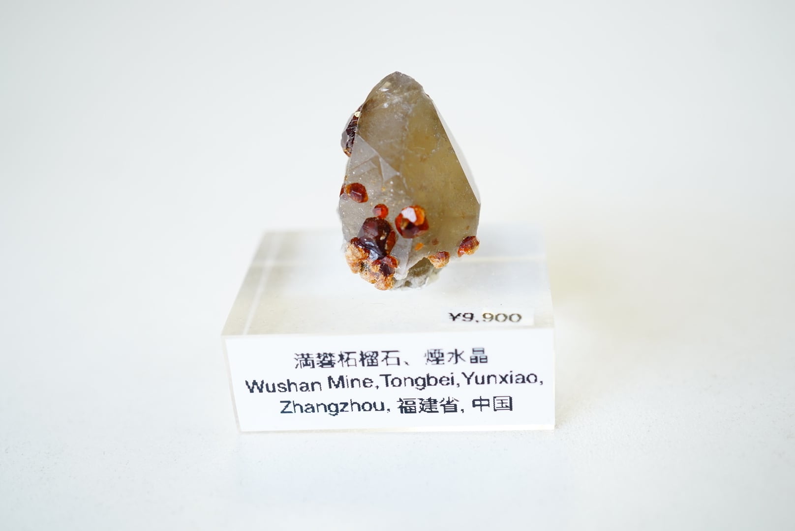中国、福建省、Wushan 鉱山の煙水晶の上のスペサルティンガーネット③