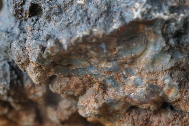 コプロライト ① Dinosaur Coprolites