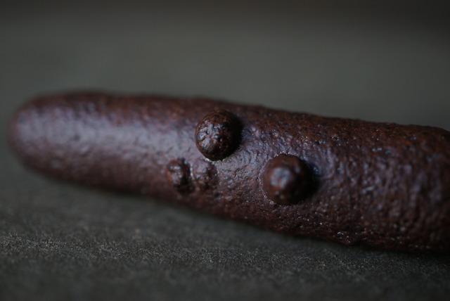 エジプト産リモナイト Goethite var. Limonite 1901