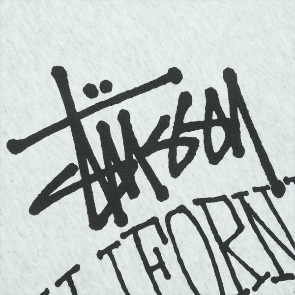 Size【L】 STUSSY ステューシー 25FW CALI GROWN ZIP HOOD ASH HEATHER