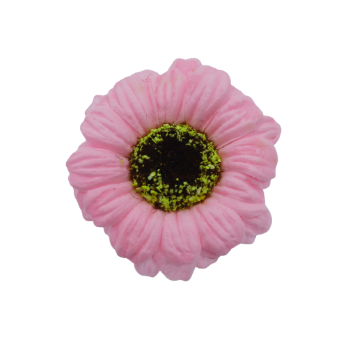 ミニガーベラMG-P4薄ピンク (15輪入りor25輪入り)