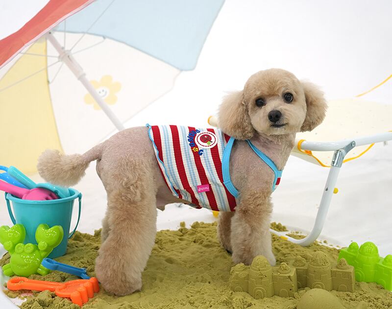 winkholic crop top S ~ XL 2color / 犬服 春夏 新作 Tシャツ ドッグウェア ショート丈 袖なし 小型犬 中型犬 トップス 涼しい お揃い クロップド top152