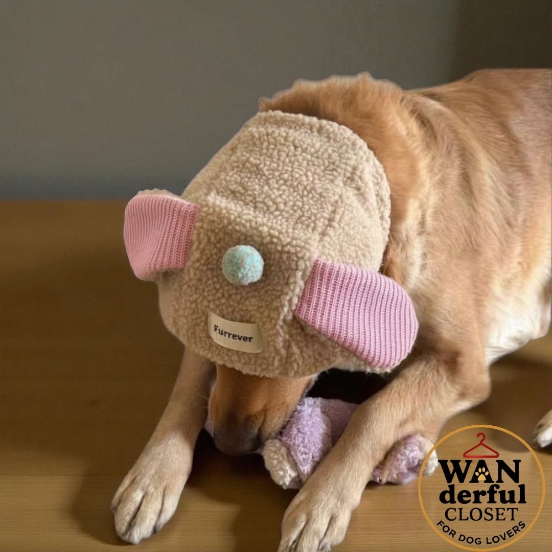 【犬用帽子】もこもこ フリース耳ポンポン帽子|小型犬・中型犬用 1143