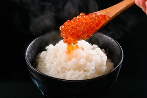 【P】北海道産いくら醤油漬（冷凍）たっぷり500ｇ（丼で5～7杯分