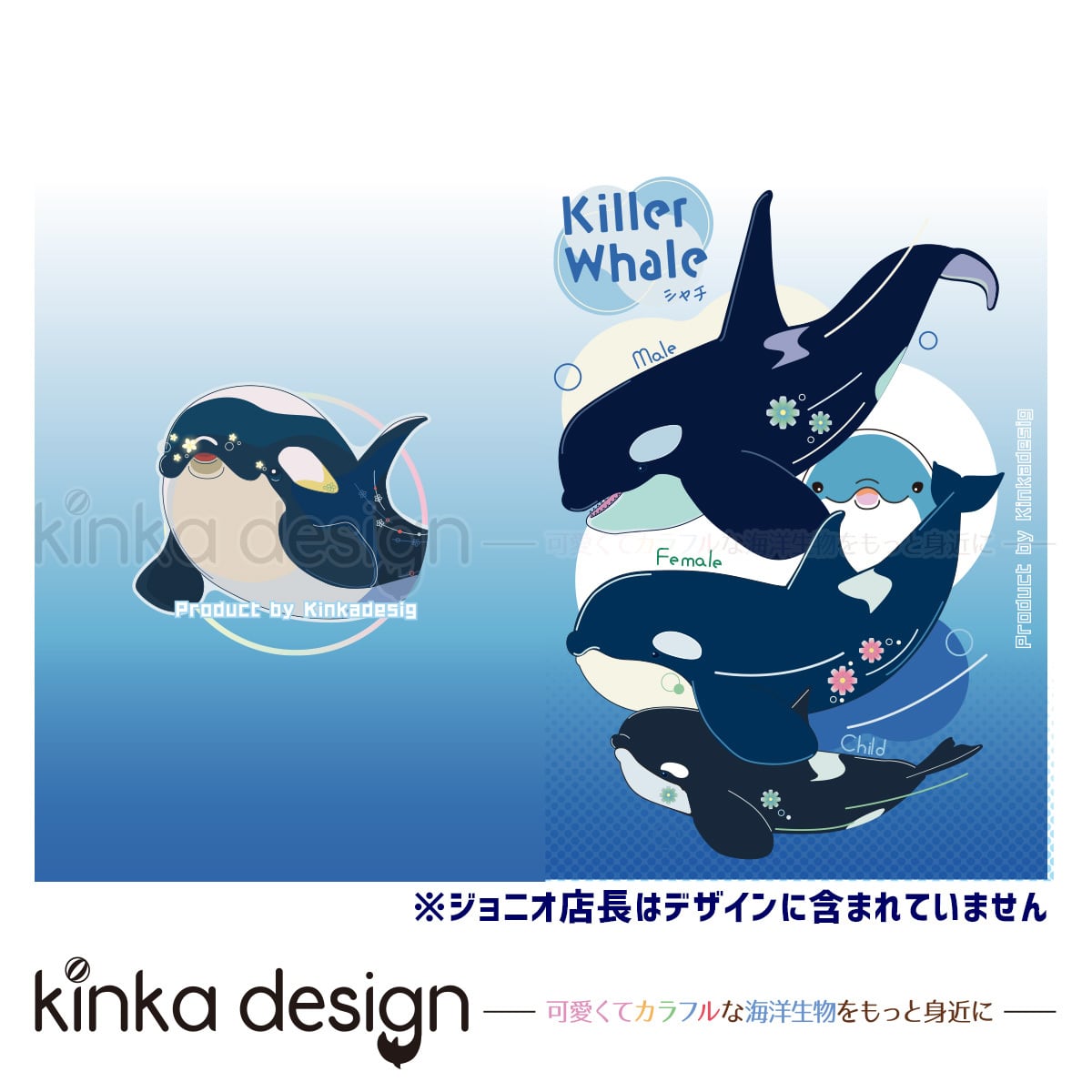 A5クリアファイル・シャチ | Kinkadesign-うみのいきもの