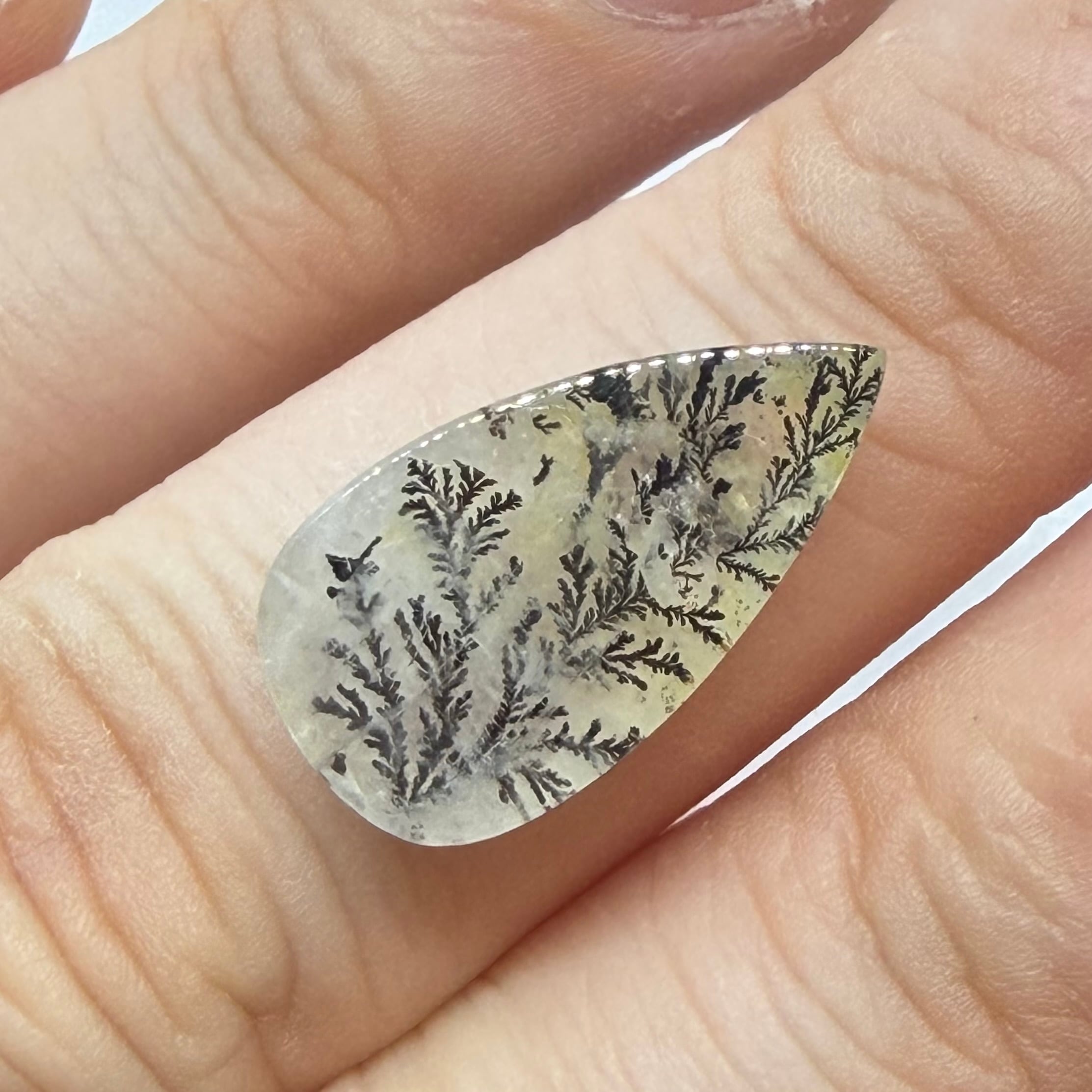 冬景色　デンドリティッククオーツ