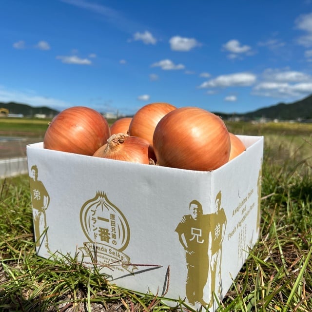 淡路島玉ねぎ 旨一番 3kg 送料・税込み | 原田兄弟の一番玉ねぎ
