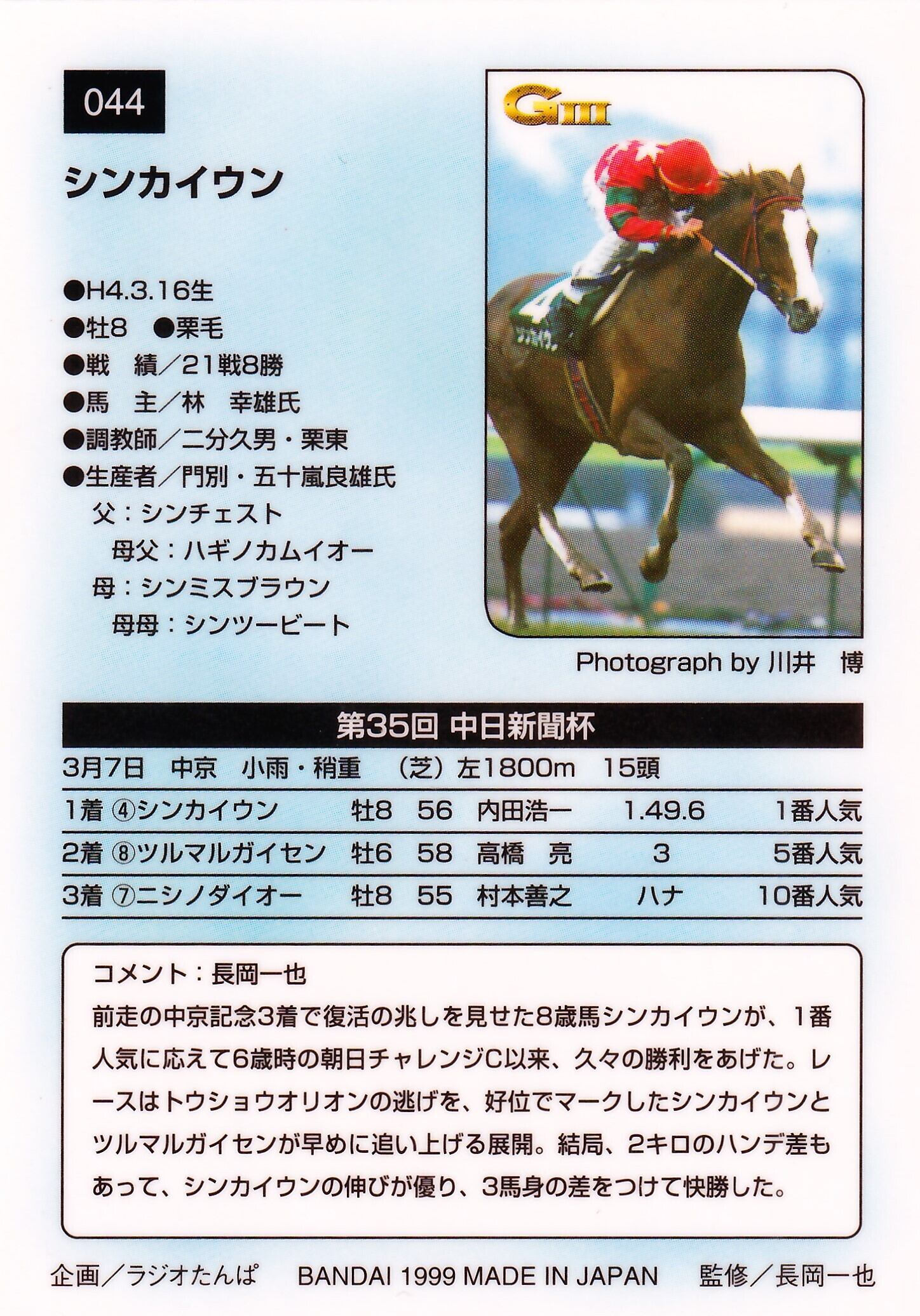 シンカイウン：第35回 中日新聞杯「サラブレッドカード 99年上半期」No