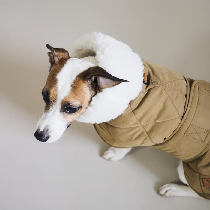 hunting pony Dog jacket ハンティングポニー ジャケット 【公式