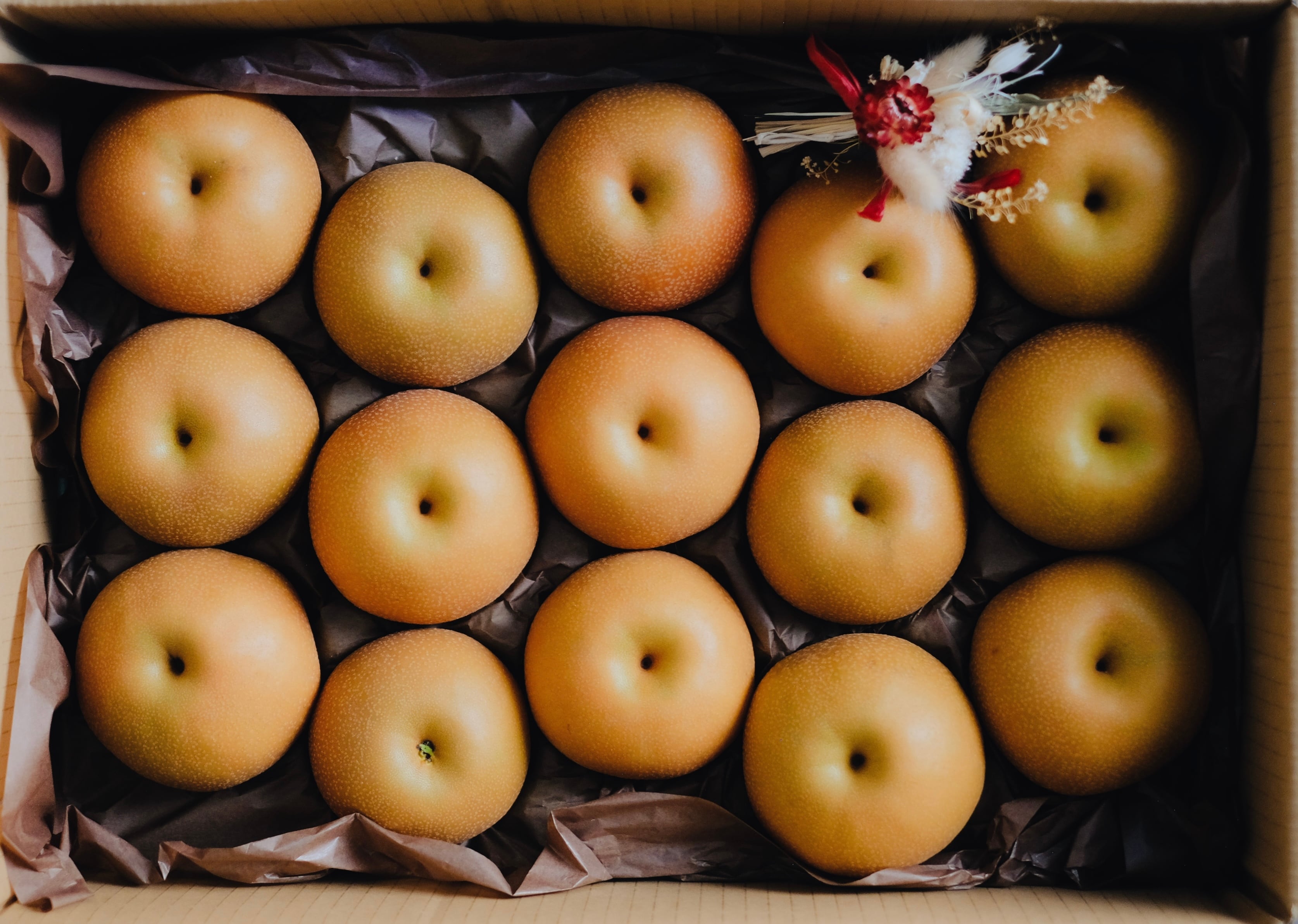 SUN南水 4.8〜5kg 信州産 南水梨 【贈答用】ミニドライフラワー付き 10