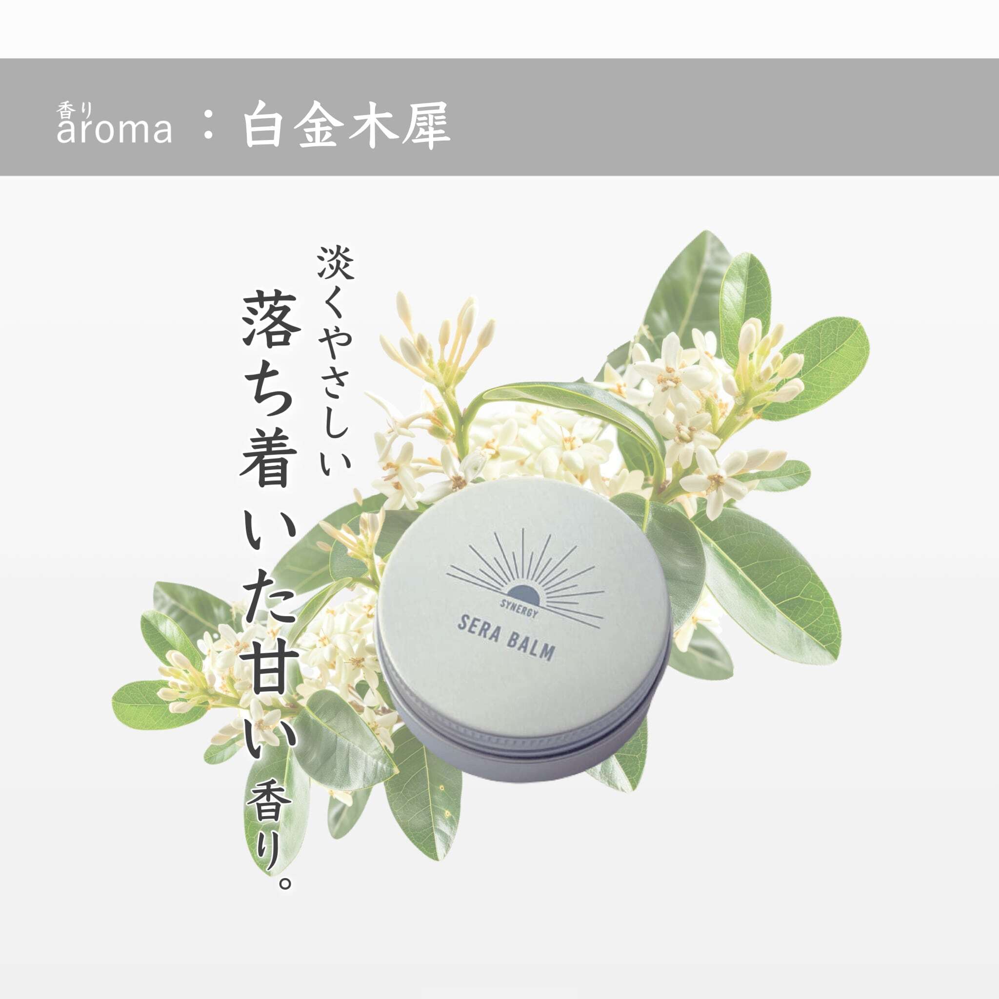 シーラバーム 30g / synergy（シナジー） | 【正規販売店】サロン専売