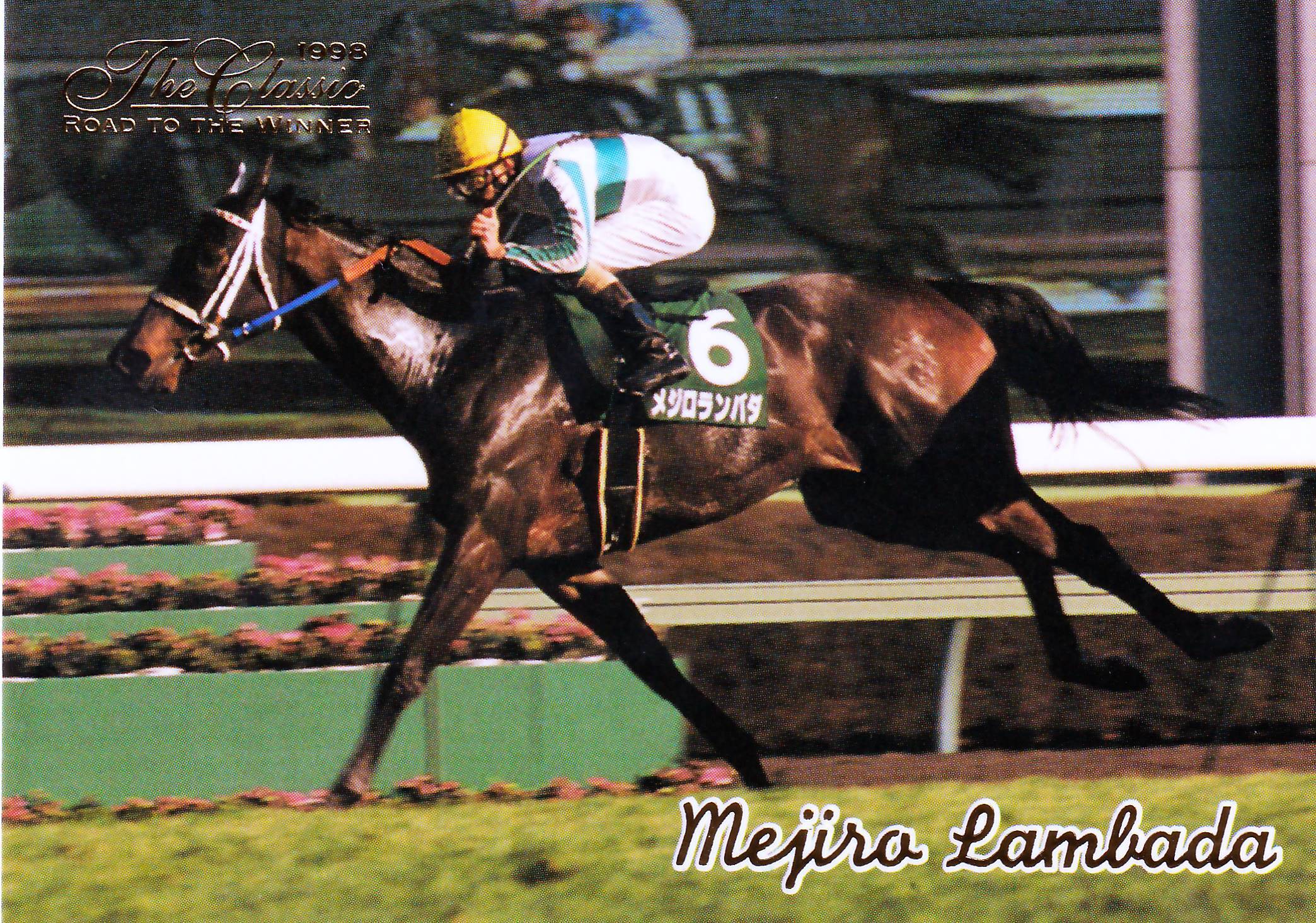 メジロランバダ(金文字)「The Classic 1998 Road To The Winner」No.32