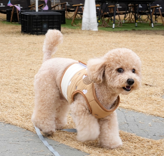 cute duck padding harness S ~ L 2color  /  犬 服 秋冬 暖かい ハーネス リード セット ボア 犬服 ベスト ドッグウェア ペット ハーネス一体型 アウター