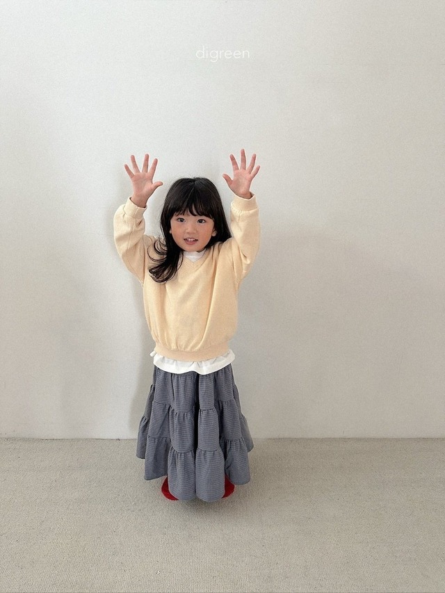 〘予約〙digreen / check ruffle skirt