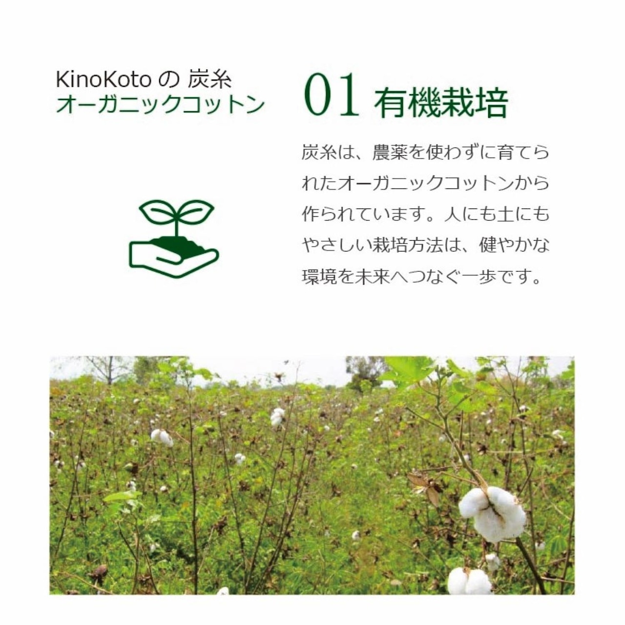 sumi.lab 極薄犬用腹巻【小型犬の冷え対策に】