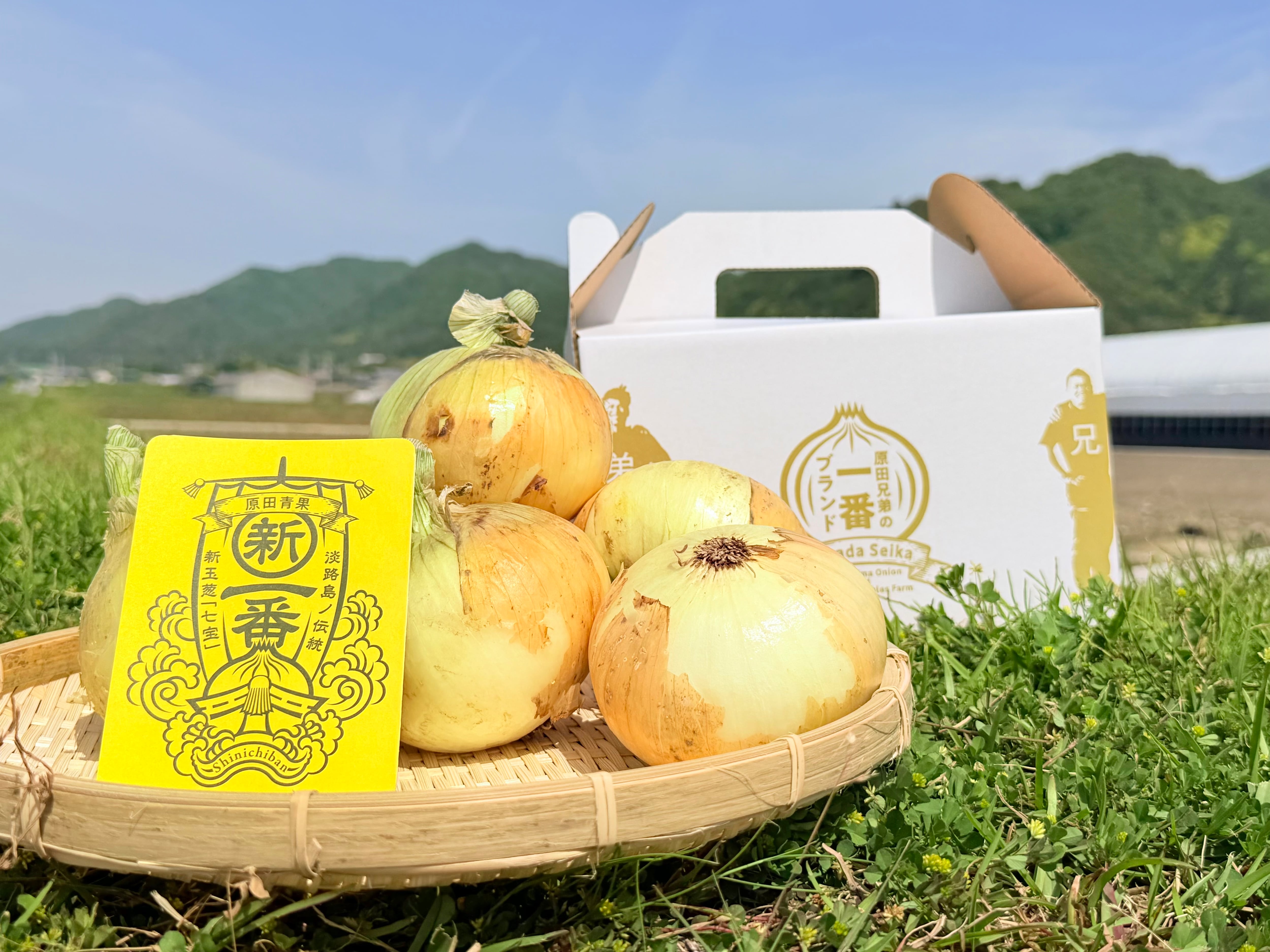 淡路島新玉ねぎ 新一番 3kg 送料・税込み | 原田兄弟の一番玉ねぎ 淡路島新玉ねぎ 新一番 3kg 送料・税込み | 原田兄弟の一番玉ねぎ