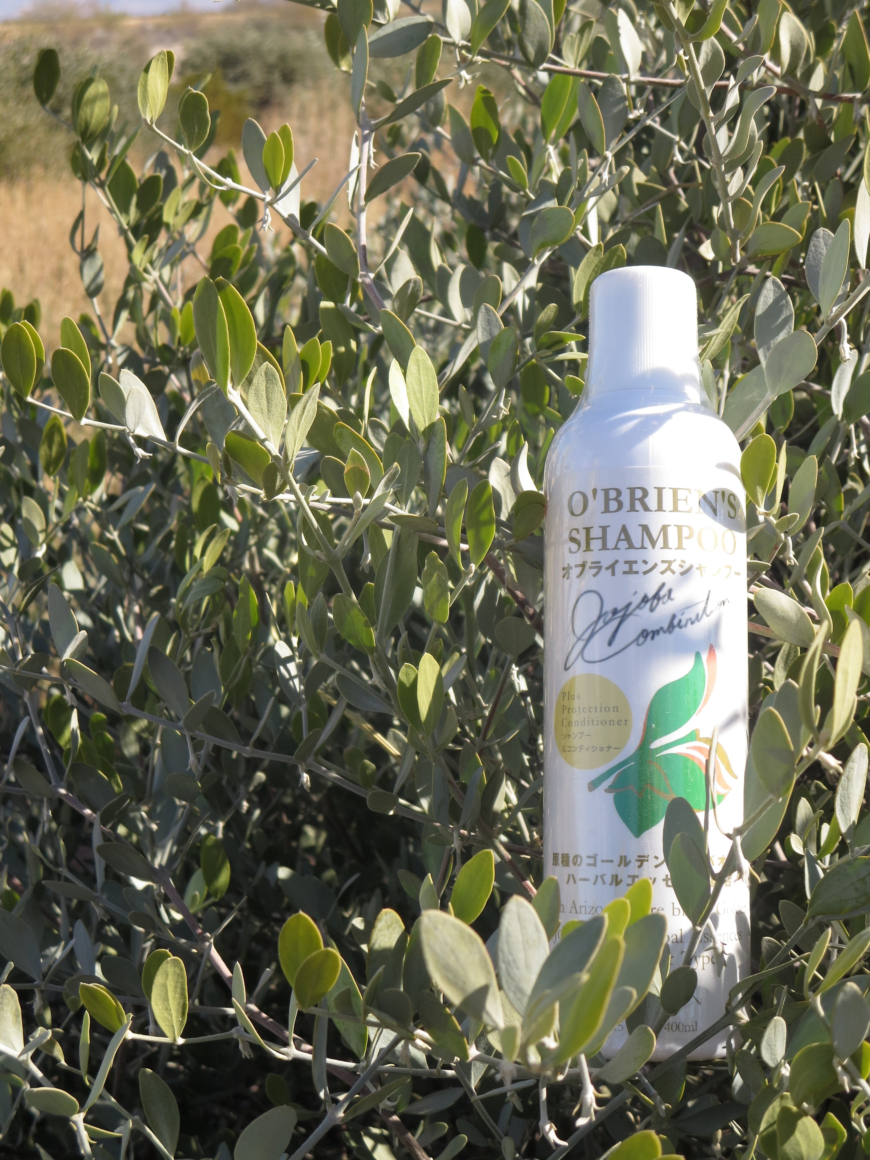 O'BRIEN'S SHAMPOO | LIVIE SUNUP FARMS