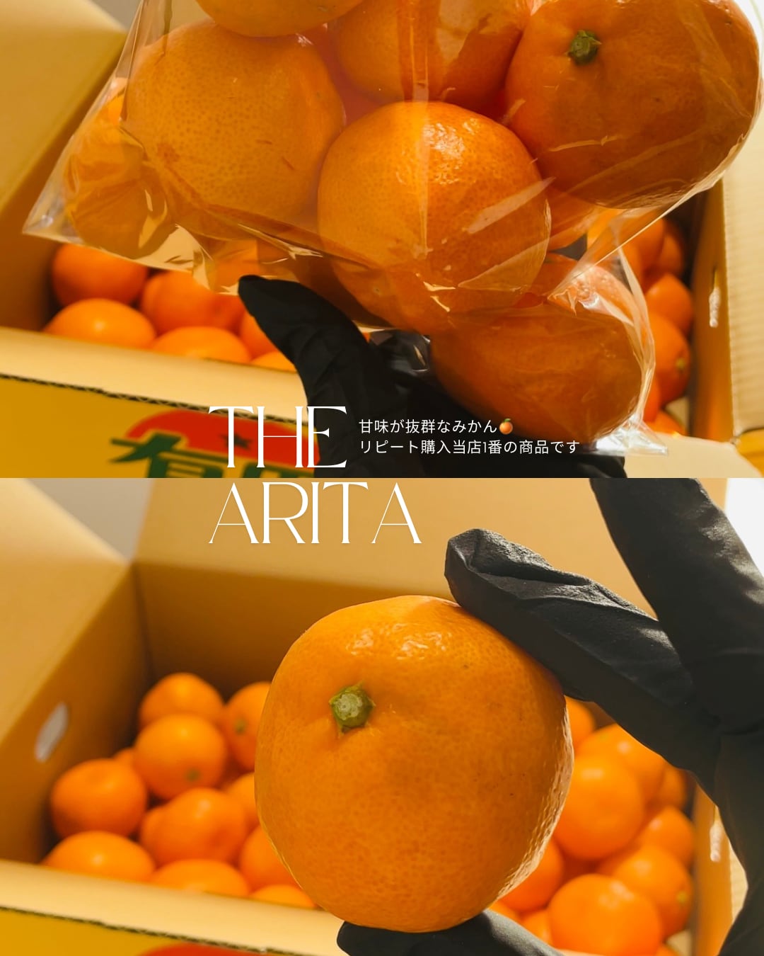 有田みかん2Sサイズ　約5kg