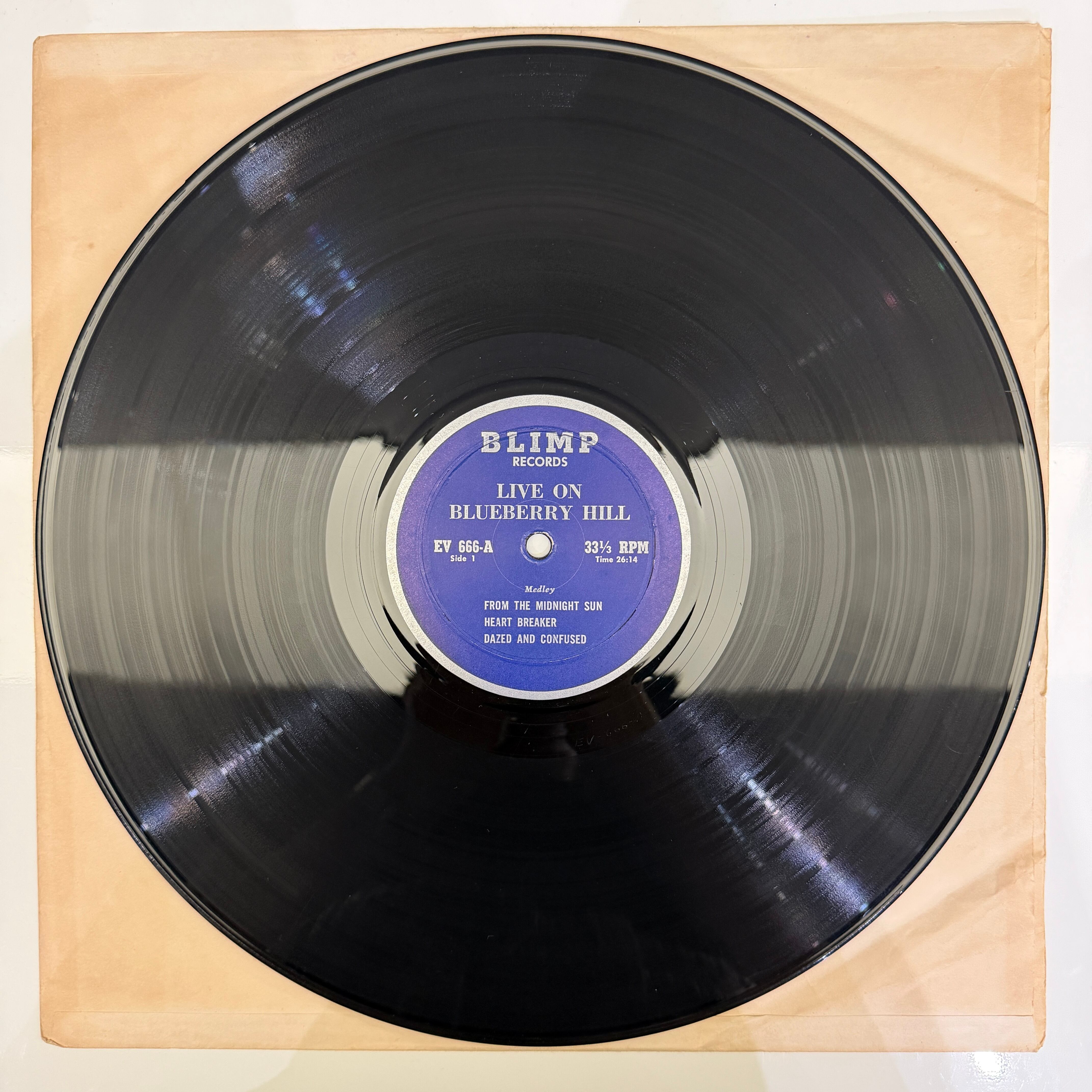 LED ZEPPELIN / Live On Blueberry Hill | 中古レコード通販｜HIPHOP