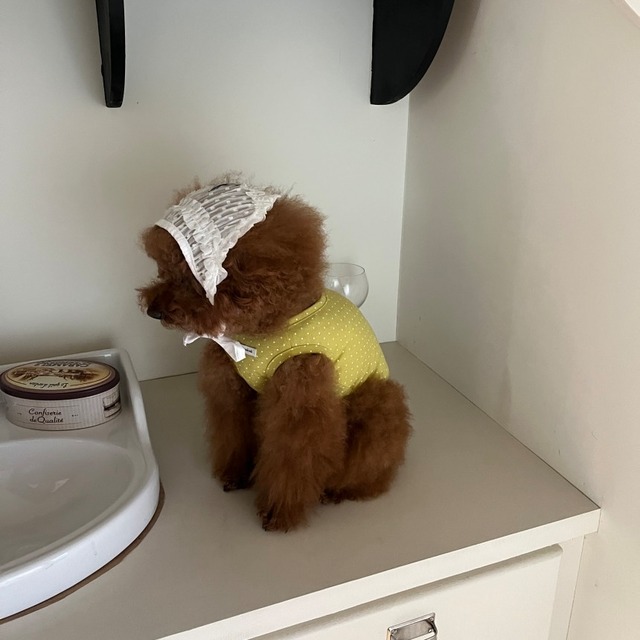 【予約】[tak!tak!tak!tak!] Dot/Wish Series Crop T-shirt（Light Green/dot）