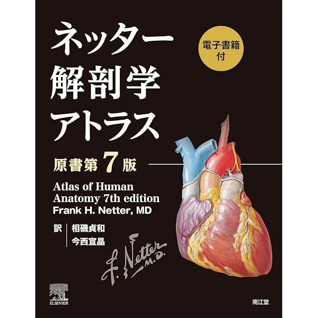エナジーオーガズム考察録（紙の本・改訂版）｜クンダリニー覚醒とAEO