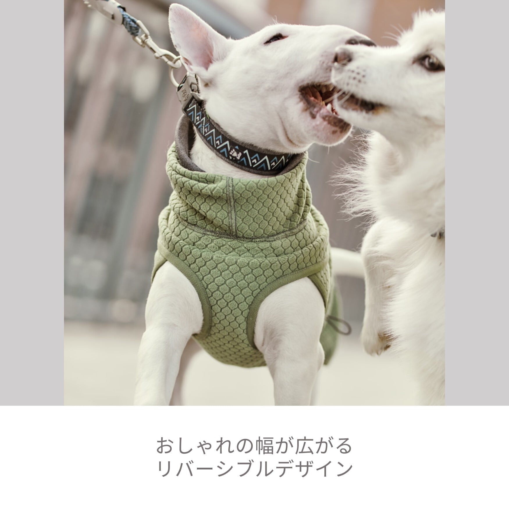 Hurtta】【フルッタ】・ラズルダズルシリーズ「ミッドレイヤー」小