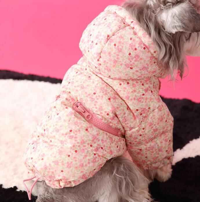 《予約》№1102745 フラワーダウン