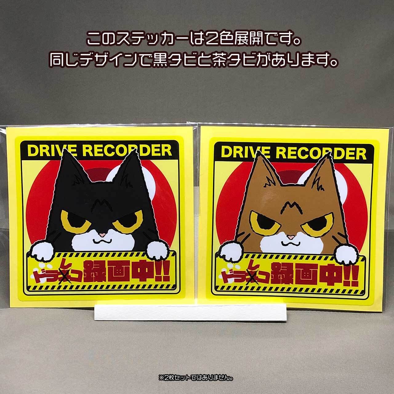 どらねこ】ドラレコ録画中（茶タビ）ステッカー | ねっこ屋