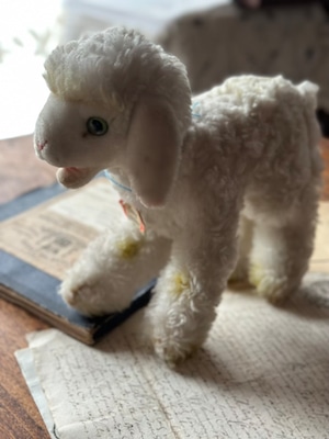 羊のぬいぐるみ Steiff(シュタイフ社製) Cosy Lamby
