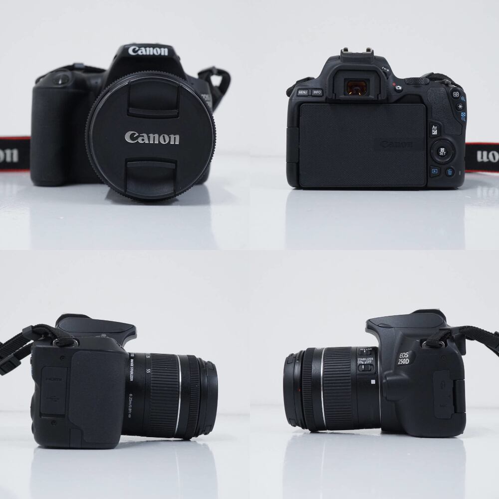 Canon EOS 250D （EOS Kiss X10海外モデル） + EF-S18-55mm F4