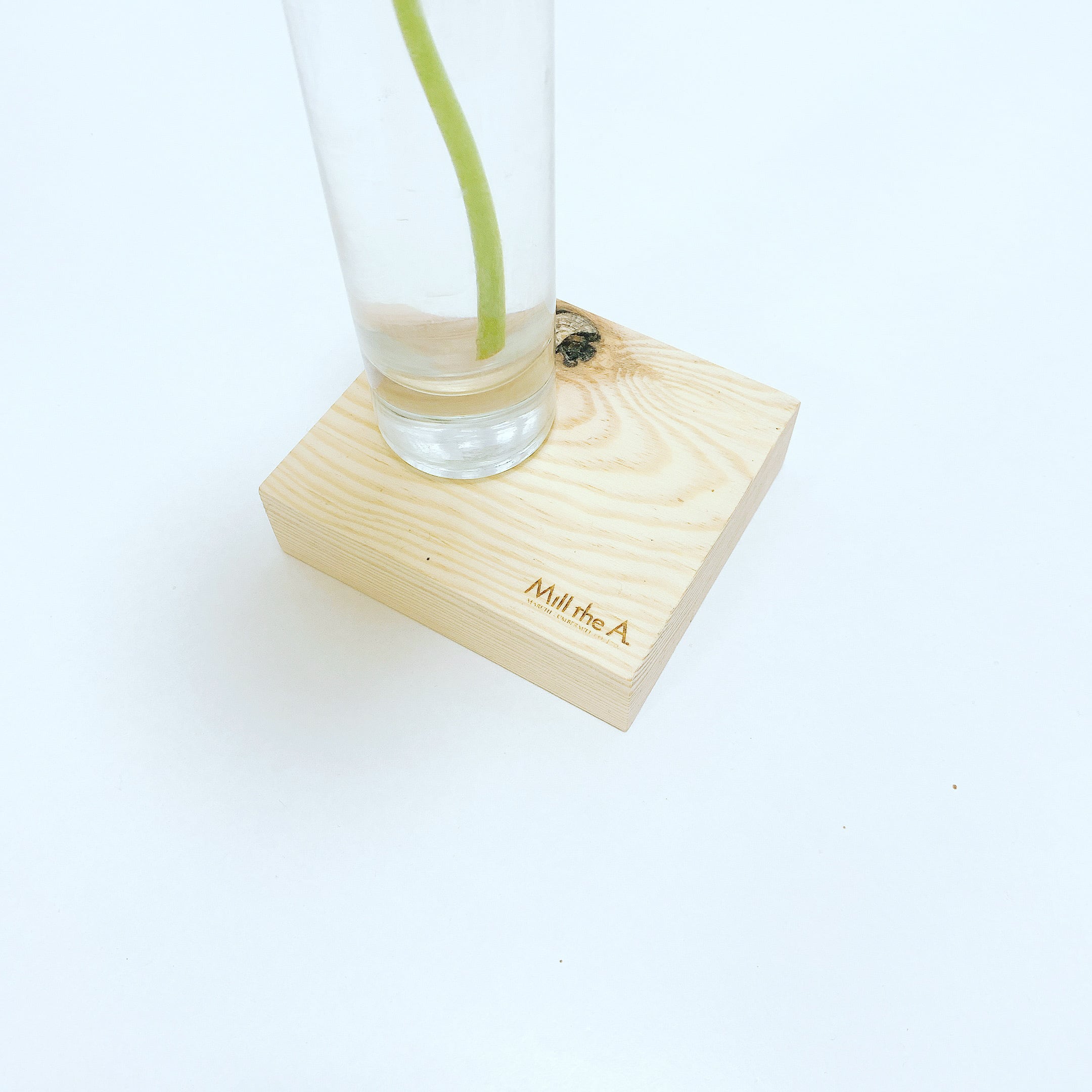 SHIKAKU_S | Mill the A.