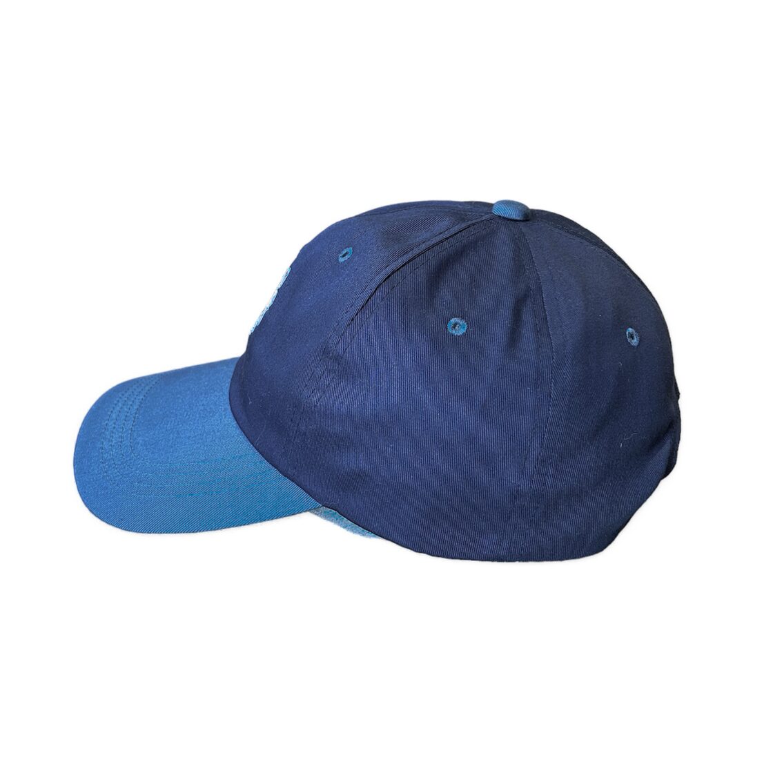 Bedlam Target Cap Blue / ベドラム ターゲット 6パネル キャップ 