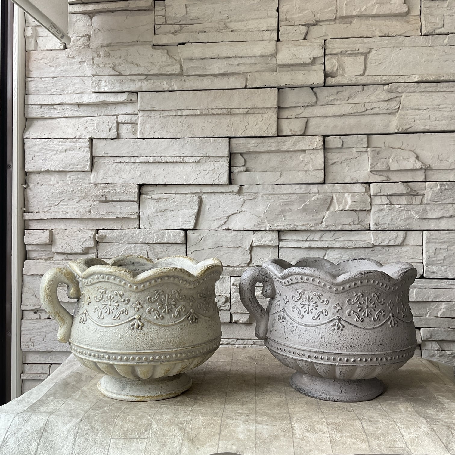 William Morris ウィリアムモリス マリーゴールド M 直径20cm | 橋本種苗園