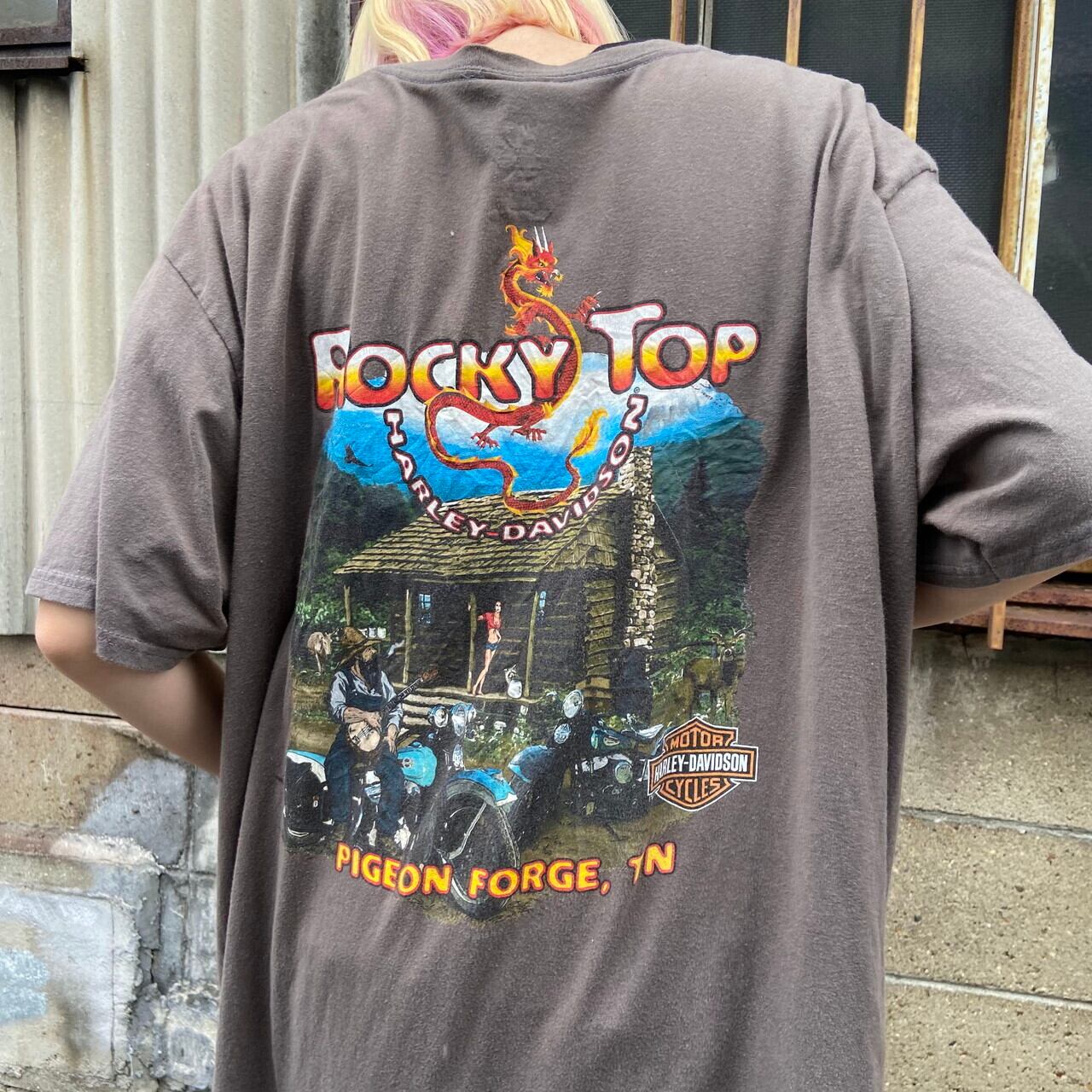 ビッグサイズ Harley Davidson ハーレーダビッドソン フロントロゴプリント Tシャツ メンズ2xl 古着 イーグル ドラゴン 両面プリント バックプリント モーターサイクル バイクtシャツ ブラウン 茶色 大きいサイズ Tシャツ Vc Cave 古着屋 公式 古着通販サイト ビッグサイズ Harley Davidson ハーレーダビッドソン フロントロゴプリント Tシャツ メンズ2xl 古着 イーグル ドラゴン 両面プリント バックプリント モーターサイクル バイクtシャツ ブラウン 茶色 大きいサイズ Tシャツ Vc Cave 古着屋 公式 古着通販サイト