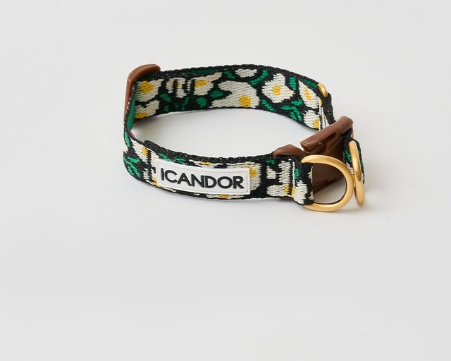 ※即納【ICANDOR】GENTLE COLLAR DUAL_BIG FISH