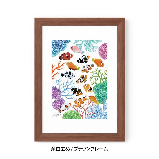 A5｜クマノミの舞踏会（フレームあり）