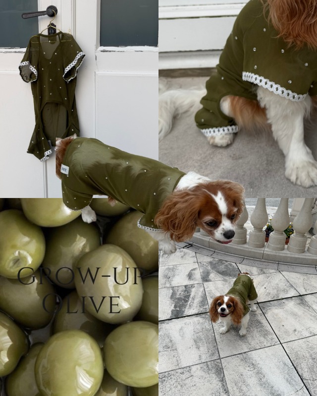 Sheer bijou rompers【Grow-up Olive】