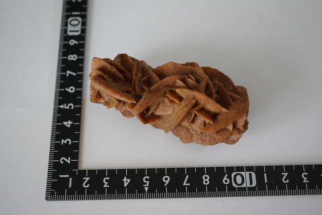 サハラ砂漠産デザートローズ Desert Rose 1409