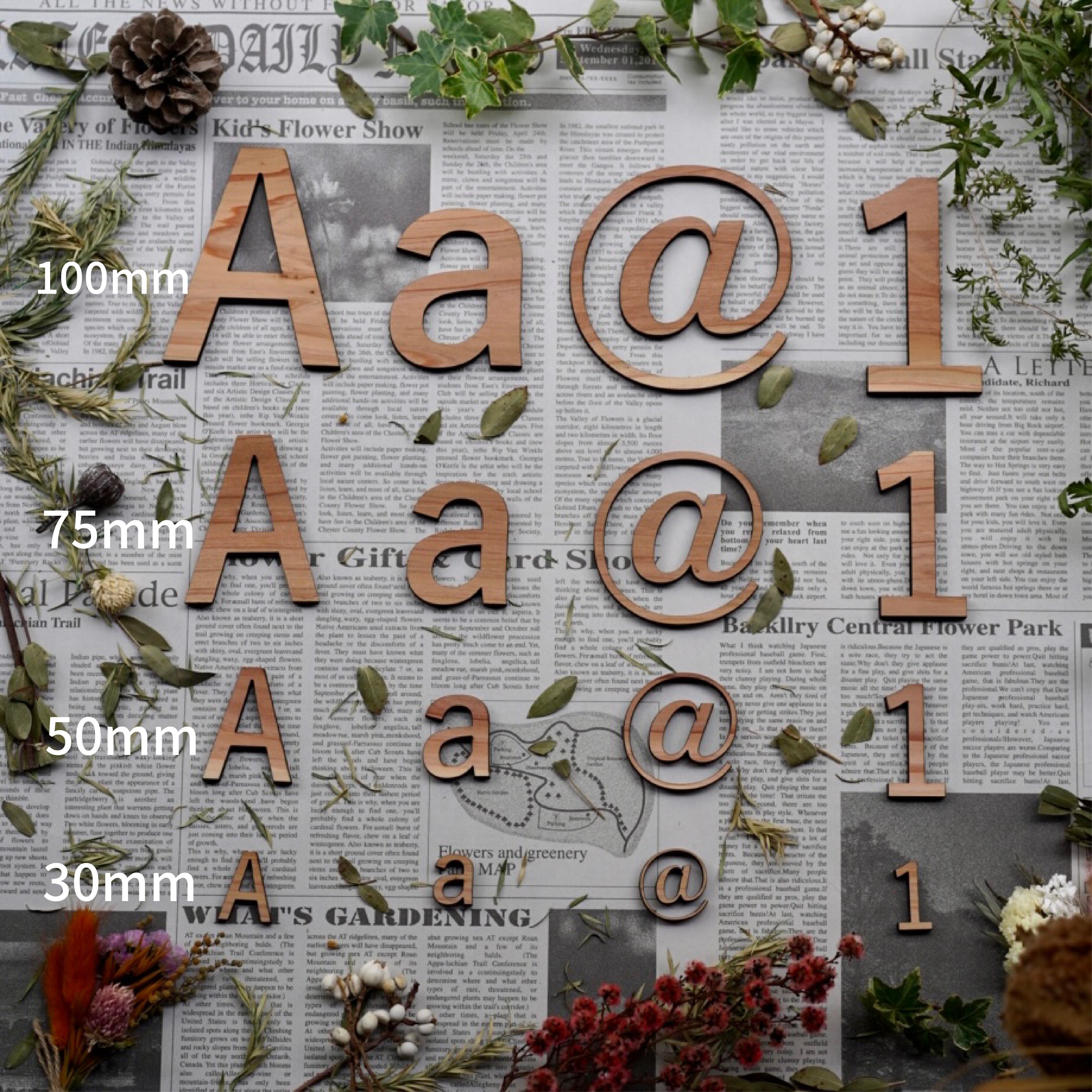 切り文字 木製 アルファベット 数字 パーツ 100㎜ 長崎県産杉