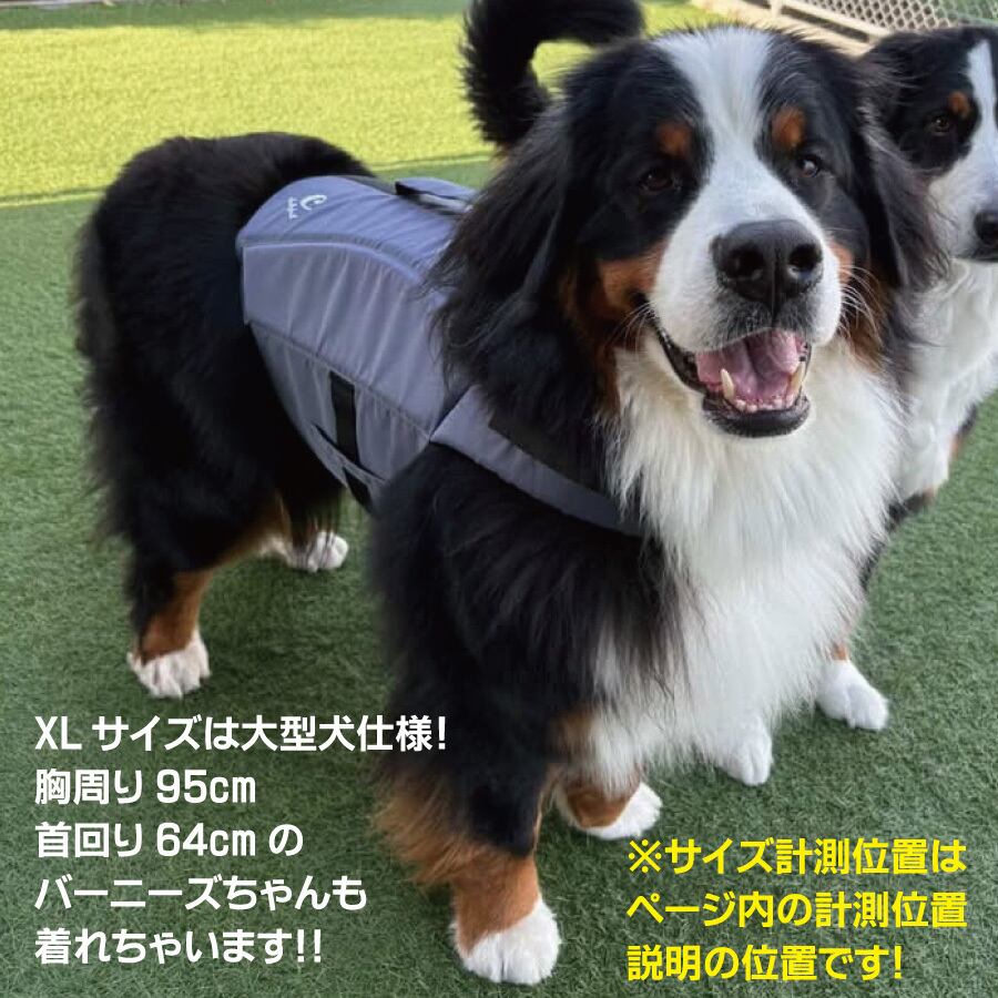 リニューアルしました！XSサイズ！chattytail チャッティーテイル