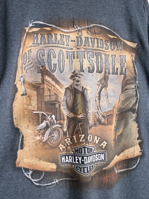 "Harley-Davidson" 360° print design over silhouette l/s tee