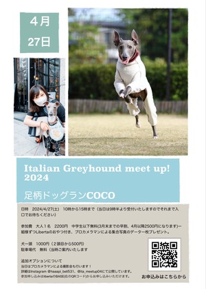 Italian Greyhound meet up !2024 足柄ドッグランCOCO わんこ2頭目ページ