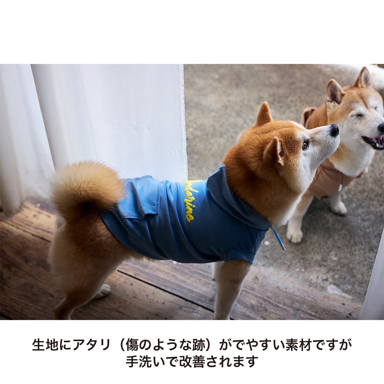 SILKY HOODIE（M.MD.L）シルキーフーディー | MANDARINE BROTHERS