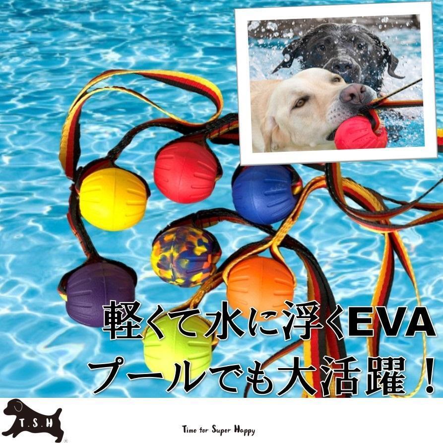 7色セット EVAボール 直径7cm ロープ付き 噛むおもちゃ 犬