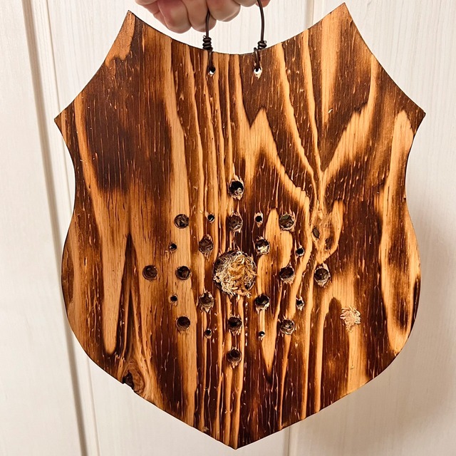 ビカクシダ ウィリンキー 板付 【観葉植物 室内 コウモリラン】