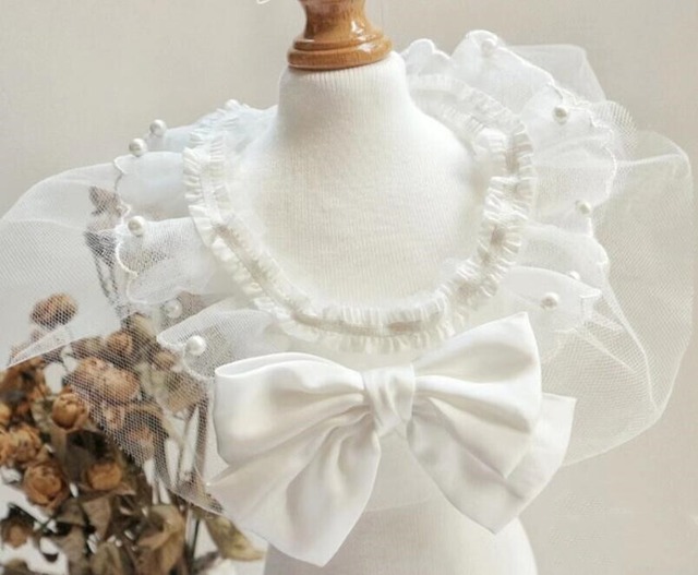 《予約》1102128 ラペルチュールのちりばめパールトップス