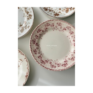 Choisy le roi ショワジールロワ / “ROYAN” 深皿プレート a